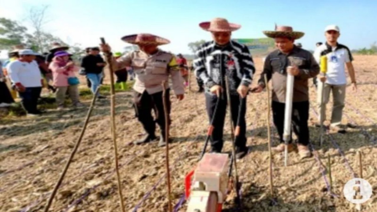 Wali Kota Banjarbaru Muhammad Aditya Mufti Ariffin bersama Kepala Dinas Ketahanan Pangan Pertanian dan Perikanan Banjarbaru Abu Yajid Bustami menggunakan alat mesin pertanian pada percepatan tanam padi di Handil Kiyai beberapa waktu lalu. ANTARA/HO-Medcen Kominfo Banjarbaru)