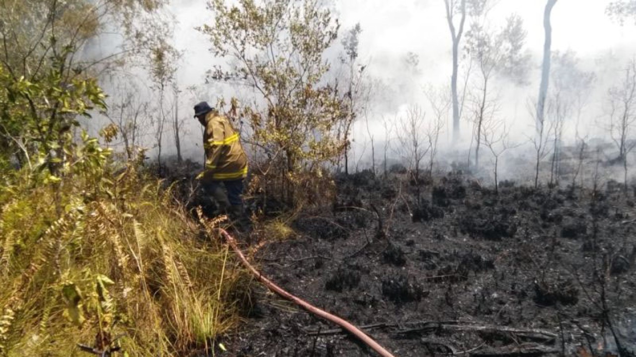 Petugas pemadam kebakaran tengah memadamkan api yang membakar kawasan hutan di Belitung. (ANTARA/Kasmono-Apriliansyah).
