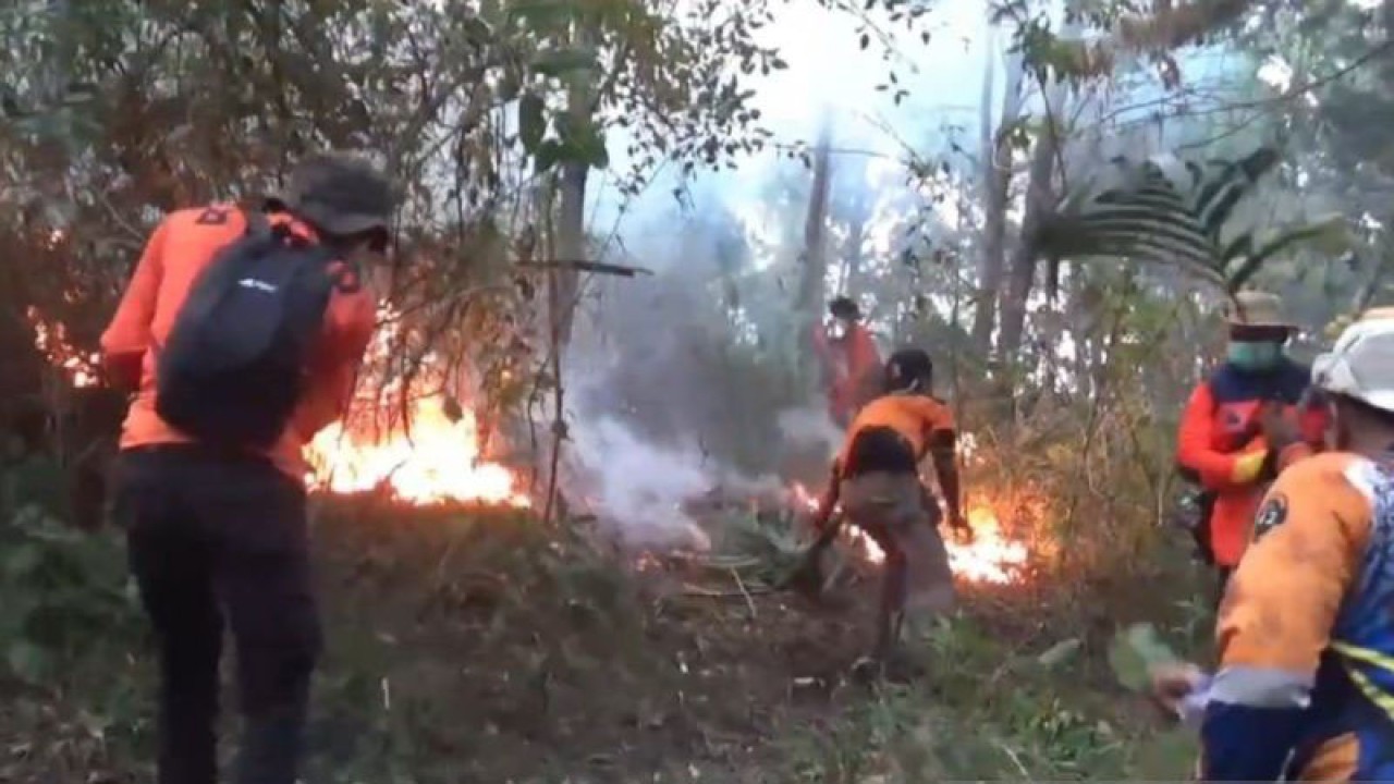 Petugas gabungan dari BPBD Provinsi Jawa Timur, BPBD Kabupaten Ngawi, BPBD Kabupaten Magetan, TNI, Polri, Polhut, BKSDA, Dinas Pemadam Kebakaran Kabupaten Ngawi, Perhutani KPH Ngawi, serta relawan dan masyarakat bergotong royong memadamkan karhutla di Gunung Lawu. ANTARA/Louis Rika