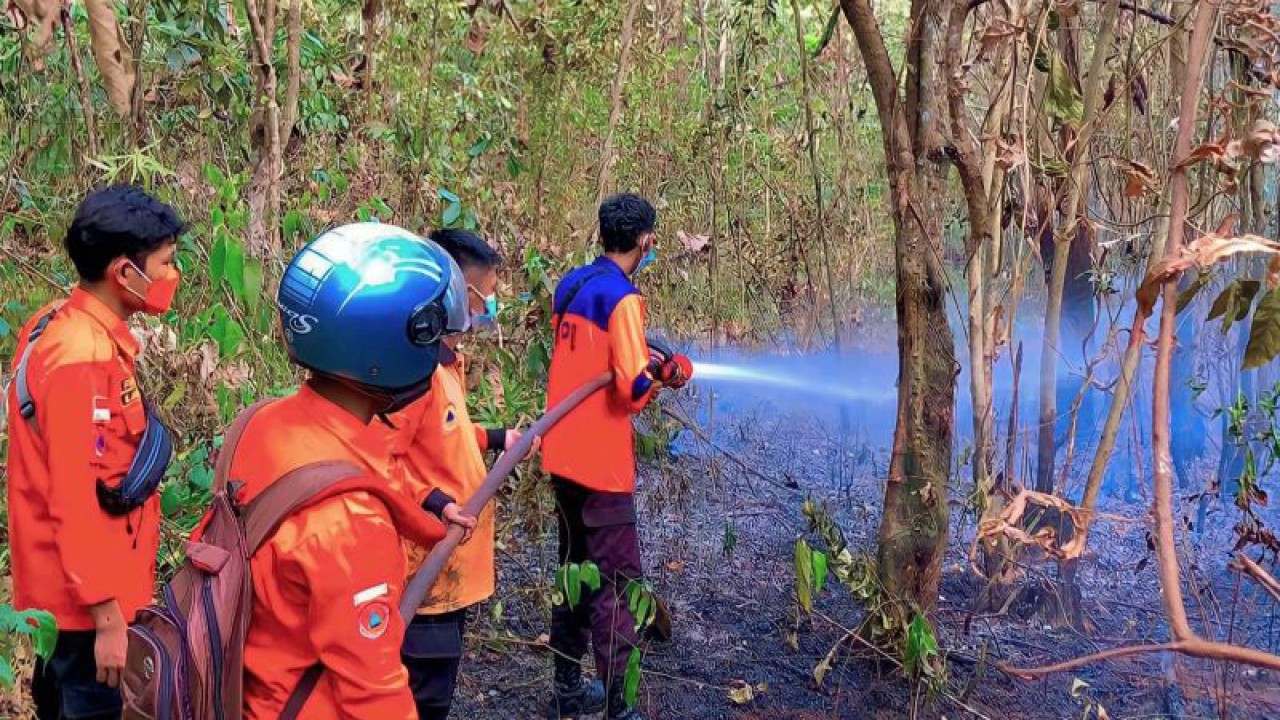 BPBD OKU memadamkan api karhutla yang terjadi akibat musim kemarau panjang. (ANTARA/Edo Purmana/23)