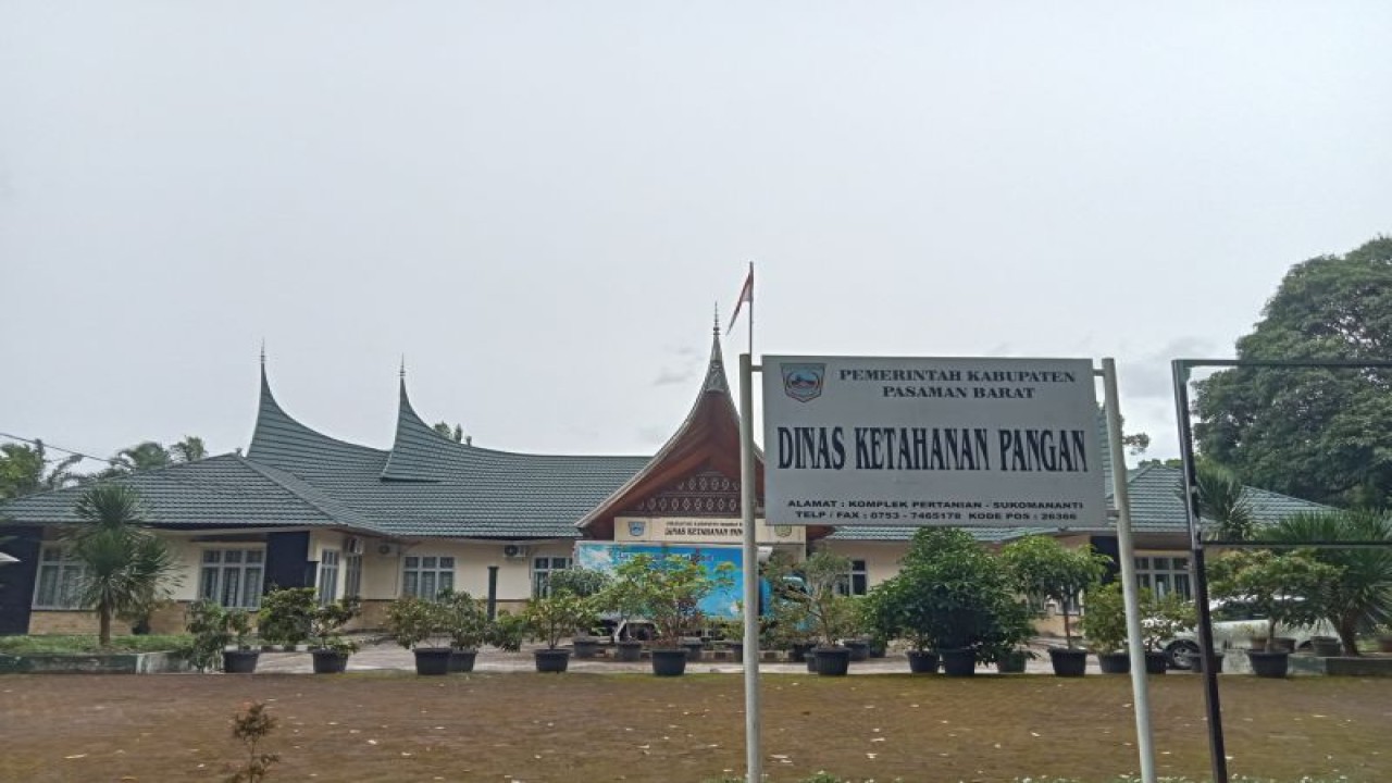 Pemkab Pasaman Barat melalui Dinas Ketahanan Pangan memastikan ketersediaan pangan mencukupi hingga akhir tahun. Antara/Altas Maulana.