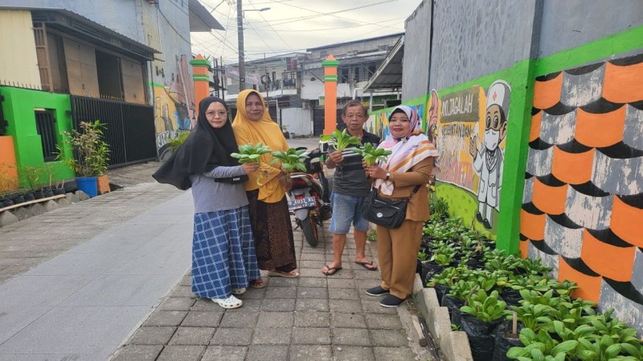 KWT Sejahtera Kelurahan Sudiang Raya Kecamatan Biringkanaya Makassar yang segera melakukan panen pakcoy dari hasil produk tanaman pangan. ANTARA/HO-DKP Makassar