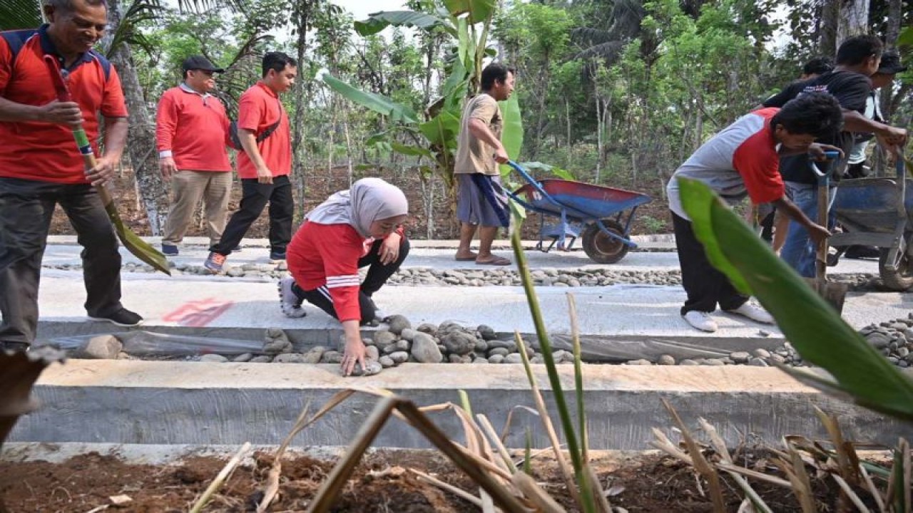 Bupati Purbalingga Dyah Hayuning Pratiwi (berjongkok) turut bergotong royong bersama warga dalam menyelesaikan struktur atas badan jalan usaha tani di Desa Nangkasawit, Kecamatan Kejobong, Purbalingga, Senin (23/10/2023). ANTARA/HO-Pemkab Purbalingga