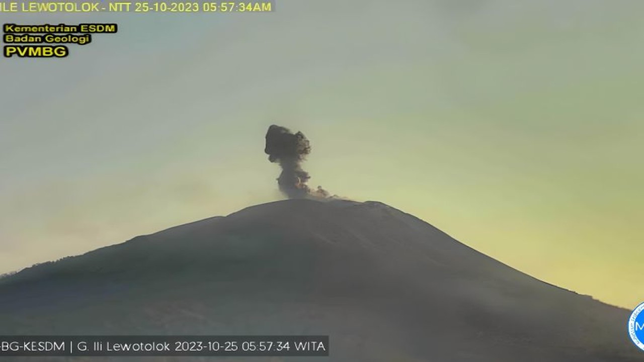PVMBG merekam aktivitas erupsi berupa lontaran abu vulkanik setinggi 500 meter di Gunung Ili Lewotolok, Nusa Tenggara Timur, Rabu (25/10/2023). (ANTARA/HO-PVMBG).