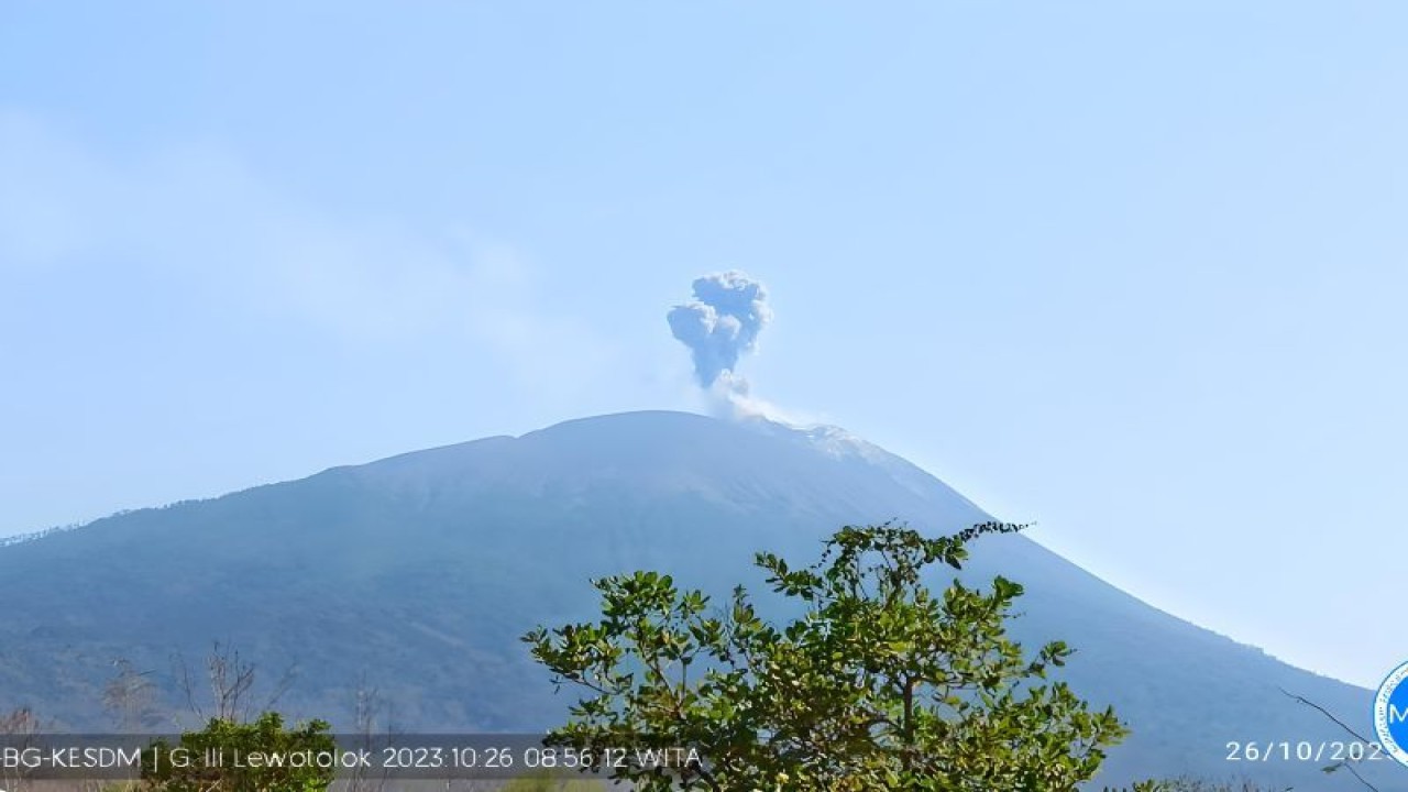 Luncuran abu vulkanik setinggi lebih kurang 600 meter yang keluar dari kawah Gunung Ili Lewotolok di Nusa Tenggara Timur, Kamis (26/10/2023). (ANTARA/HO-PVMBG)