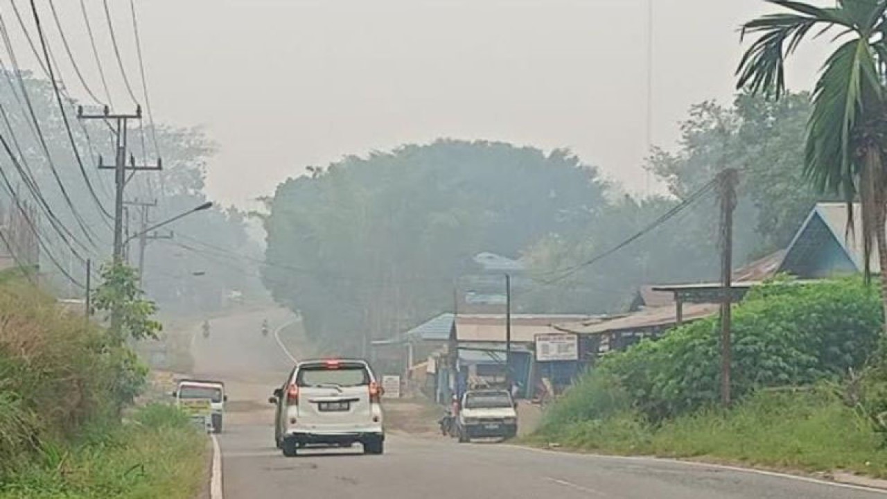 Kondisi kabut asap di Kabupaten Barito Timur mulai pekat di Jalan A Yani KM 2 Tamiang Layang, Kecamatan Dusun Timur, kemarin. ANTARA/Habibullah.