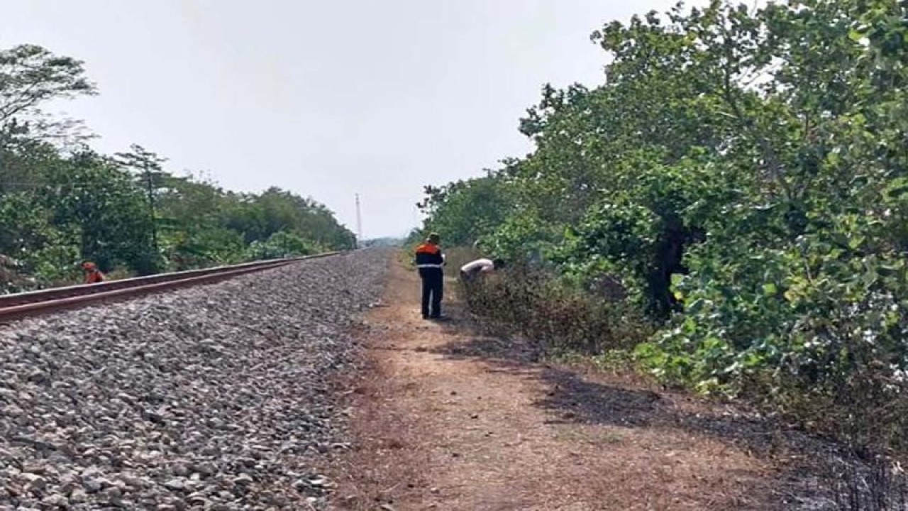 Petugas PT KAI (Persero) Daop 5 Purwokerto memadamkan api yang membakar rumput akibat pembakaran sampah yang dilakukan oleh oknum di sisi jalur rel KM 393+4/5 petak jalan antara Stasiun Maos dan Stasiun Sikampuh, Kabupaten Cilacap, Senin (9/10/2023). ANTARA/HO-KAI Purwokerto