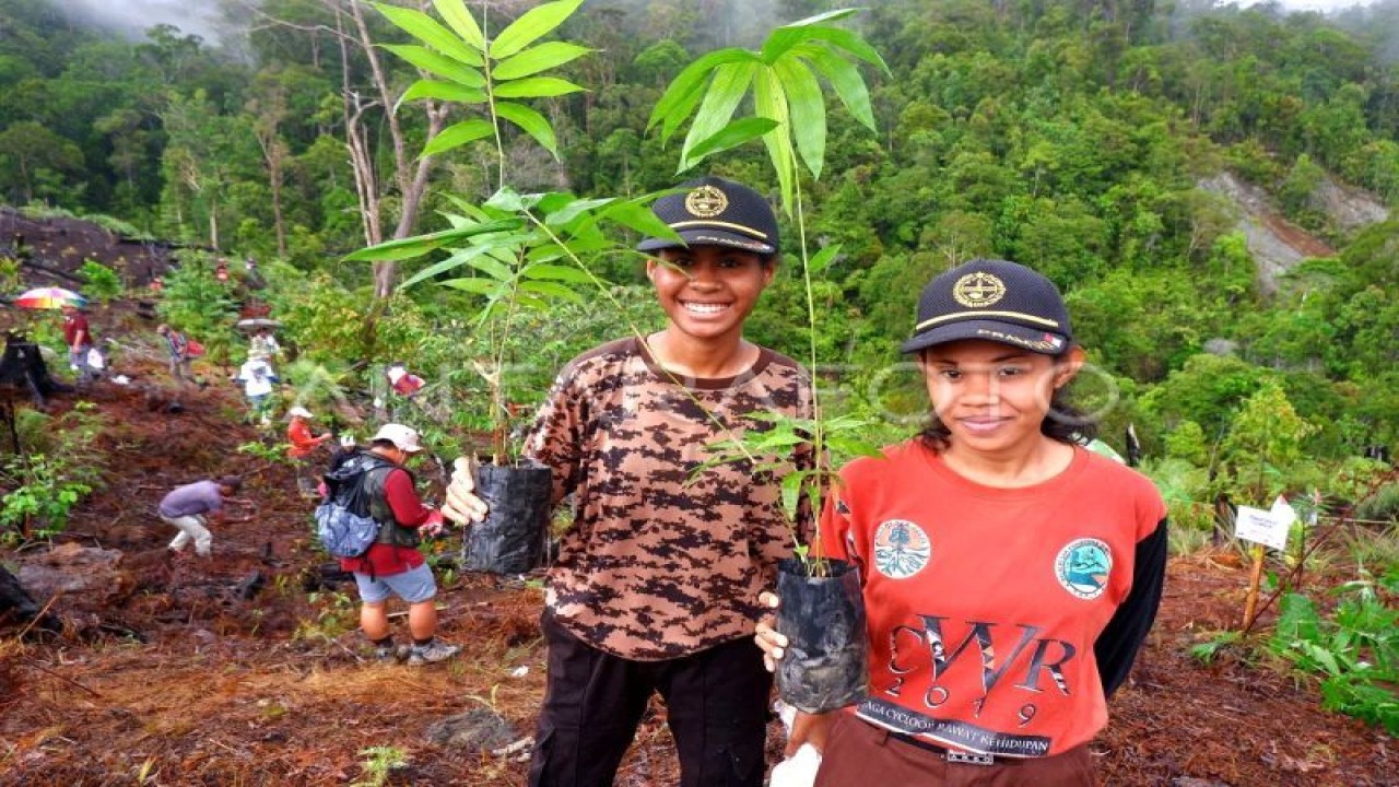 Pelajar memperlihatkan bibit pohon bambu saat penanaman di kawasan cagar alam Pegunungan Cycloop, Pasir 6 Kelurahan Tanjung Ria, Kota Jayapura, Papua, Jumat (4/8/2023). (ANTARA FOTO/Sakti Karuru/rwa)