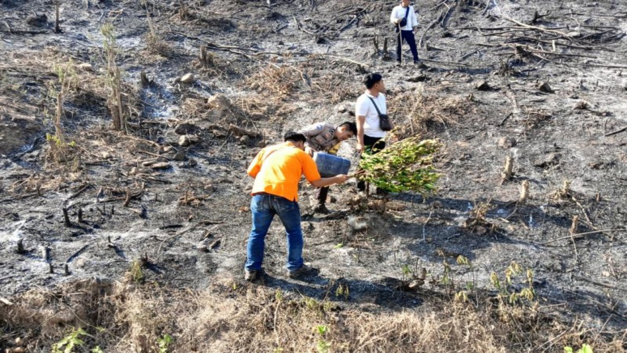 Lahan yang terbakar di kawasan ekonomi khusus (KEK) Mandalika, Lombok, NTB, Senin (9/10/2023) (ANTARA/HO-Humas Polres Lombok Tengah)