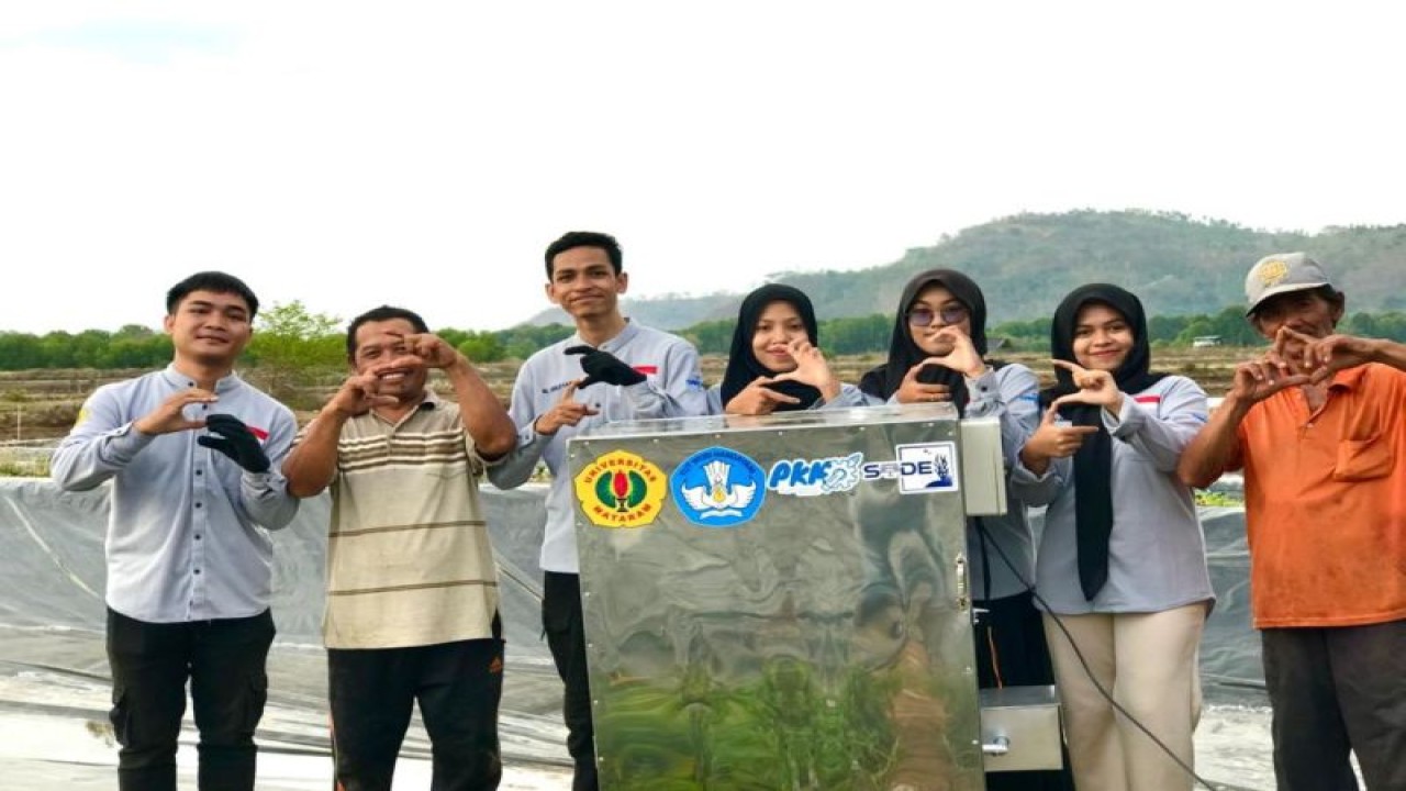 Mahasiswa Universitas Mataram (Unram) Nusa Tenggara Barat (NTB), mengembangkan alat pengering rumput laut otomatis menggunakan Hybrid Electrical Heating Seaweed (HEHS) sebagai solusi inovatif yang dirancang untuk membantu kelompok tani komoditas rumput laut di Lombok Barat. ANTARA/