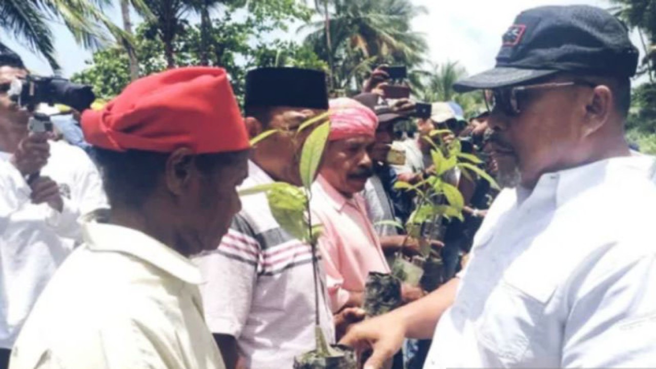 Gubernur Maluku, Murad Ismail memberikan anakan (bibit) pala secara simbolis kepada warga Sepa dan Tamilouw Maluku tengah (Antara/HO-Pemprovmaluku)