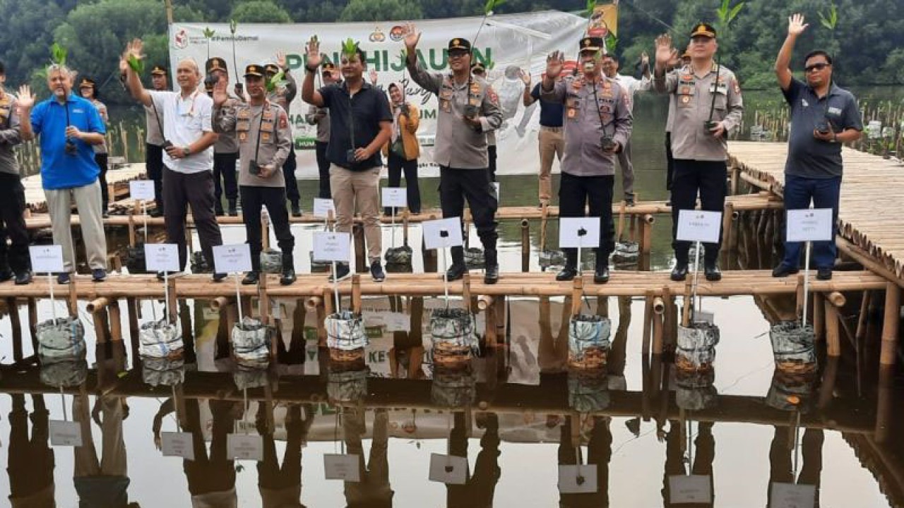 Kepala Divisi Humas Polri Irjen Pol. Sandi Nugroho bersama pejabat utama Humas Polri serta pimpinan redaksi sejumlah media melakukan penanaman bibit Mangrove di Taman Wisata Alam Muara Angke, Jakarta Utara, Jumat (13/10/2023). ANTARA/Laily Rahmawaty