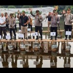 Mangrove-1697167700