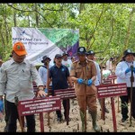 mangrove-1698736626