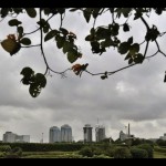 Monas-1697076073