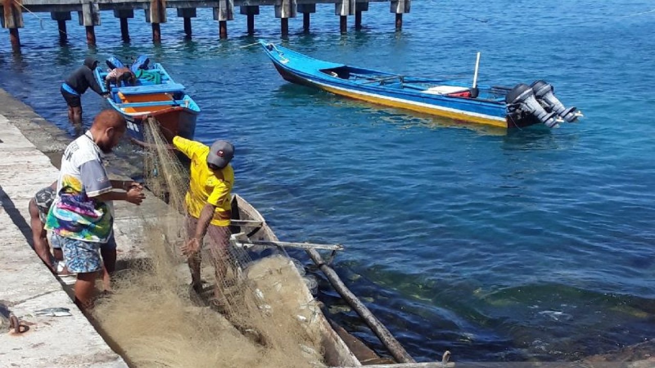 Nelayan Orang Asli Papua sedang memindahkan ikan dari jaring di kawasan Pelabuhan Pendaratan ikan Fandoi, Distrik Biak Kota, Papua. ANTARA/Muhsidin
