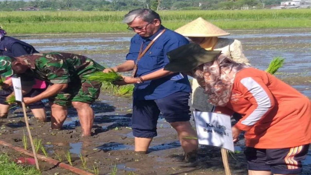 Kepala Dinas Pertanian, Pangan dan Perikanan Kabupaten Sleman Suparmono melakukan gerakan percepatan tanam padi di bulak sawah Serangan, Sidoluhur, Godean, Rabu (5/4/2023). ANTARA/HO-Dinas Pertanian Sleman