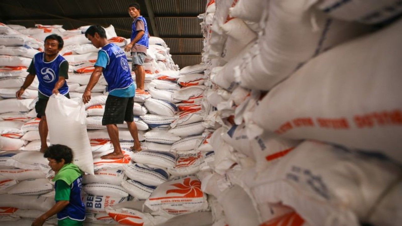 Pekerja mengangkat beras saat bongkar muat di Pasar Induk Beras Cipinang (PIBC), Jakarta, Rabu (4/10/2023). Menurut Menteri BUMN Erick Thohir stok beras nasional saat ini sebanyak 1,7 ton dan dipastikan aman hingga akhir tahun 2023. ANTARA FOTO/Fauzan/Spt. (ANTARA FOTO/FAUZAN)