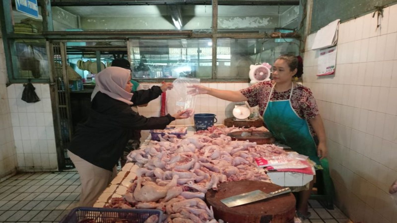 Petugas memeriksa kandungan zat berbahaya di Pasar Tomang Barat/Kopro, Pasar Kedoya Utara, PT Lion Superindo dan Pasar Slipi pada Selasa (17/10/2023). Antara/HO-Sudin KPKP Jakbar