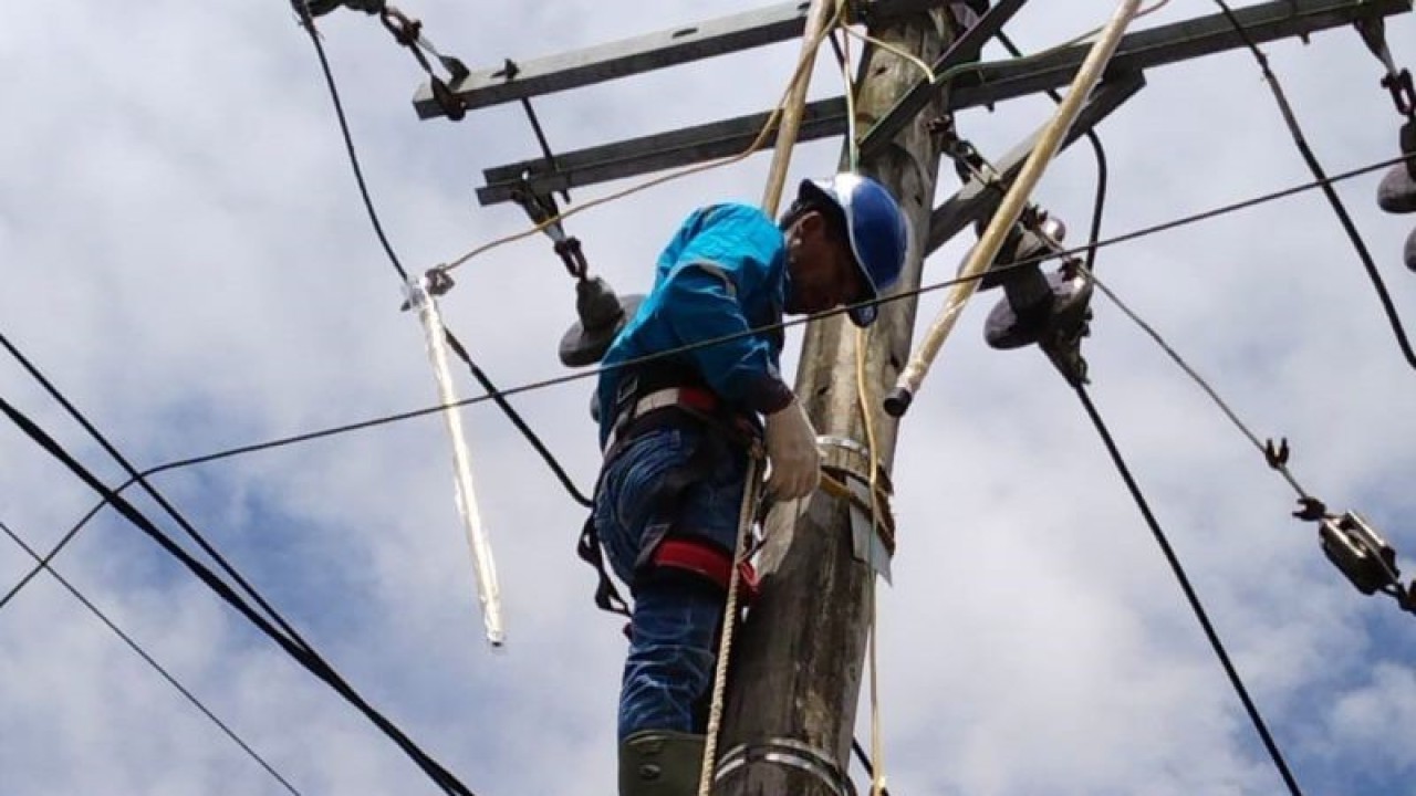 Petugas PLN yang melakukan perbaikan jaringan lsitrik. (Antara/La Ode Muh Deden Saputra)