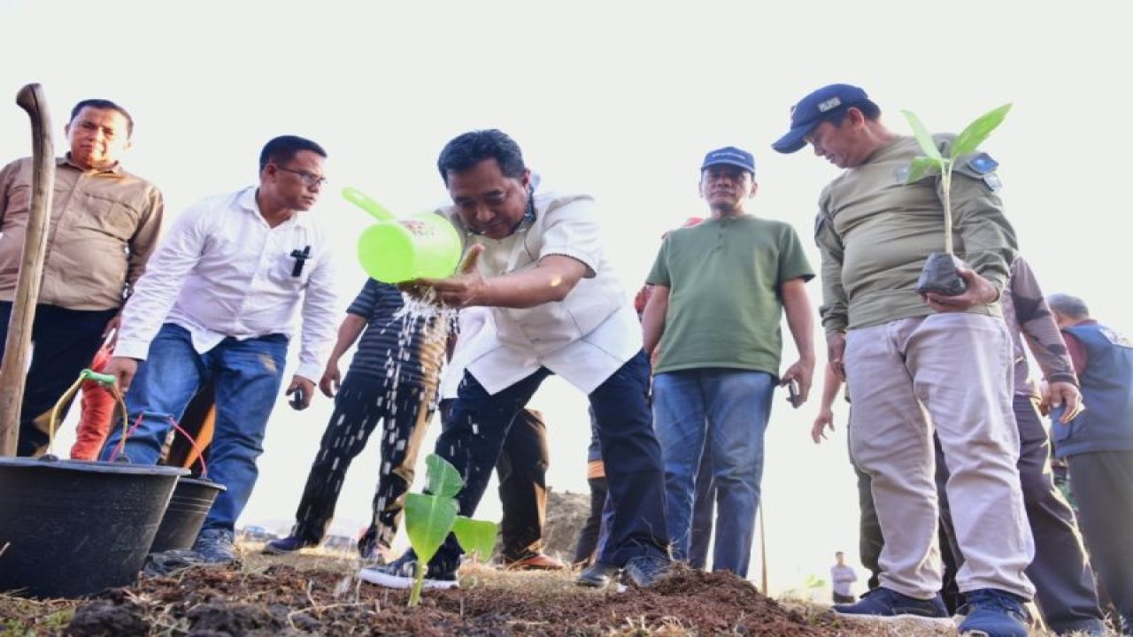 Pj Gubernur Sulsel Bahtiar Baharuddin tanam pisang pada program Gerakan Menanam Sejuta Pisang.ANTARA/HO-Humas Pemprov Sulsel