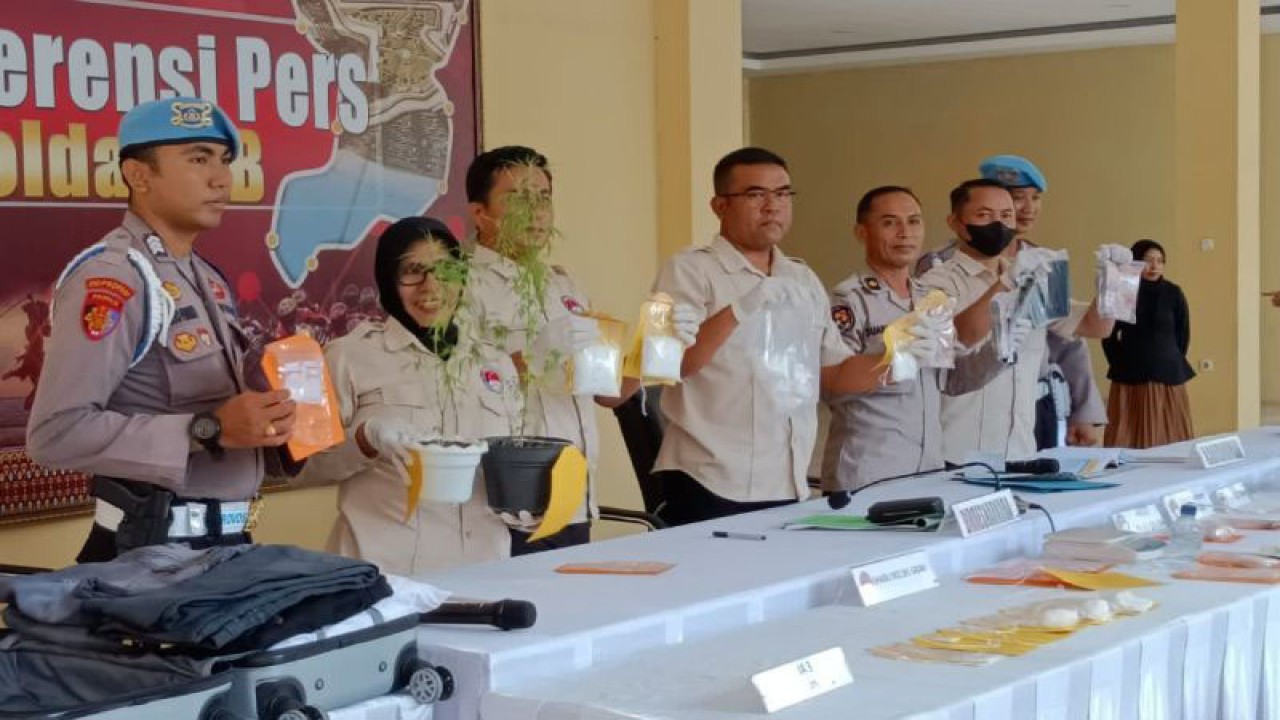 Dirresnarkoba Polda NTB Kombes Pol. Deddy Supriadi (tengah) bersama anggota lainnya menunjukkan barang bukti kasus narkotika hasil pengungkapan Operasi Antik Rinjani 2023 di Mataram, Rabu (4/10/2023). ANTARA/Dhimas B.P.