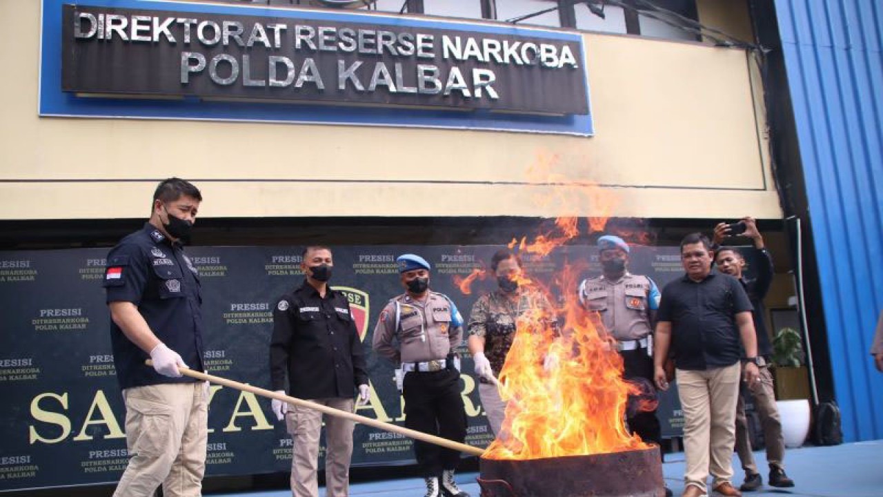Direktorat Reserse Narkoba Polda Kalbar memusnahkan barang bukti tindak pidana narkotika sebanyak 1,5 kilogram ganja dan pil ekstasi 9.497 butir dari hasil penangkapan dua tersangka, di Palangka Raya, Jumat (6/10/2023). ANTARA/Rendra Oxtora.