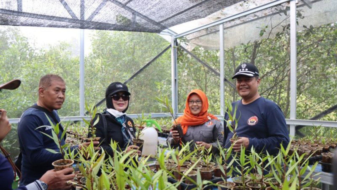 Kabid Humas Polda Kalsel Kombes Pol Mochamad Rifa'i didampingi Dr Amalia Rezeki berada di Mangrove Rambai Center tempat pembibitan rambai untuk ditanam. (ANTARA/Firman).