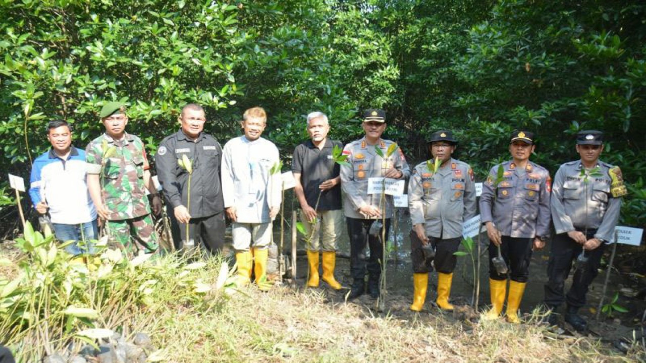 Penanaman bibit pohon mangrove oleh Polda Kepri dan perangkat pemerintah daerah di Batam Kepulauan Riau. (ANTARA/Yude)