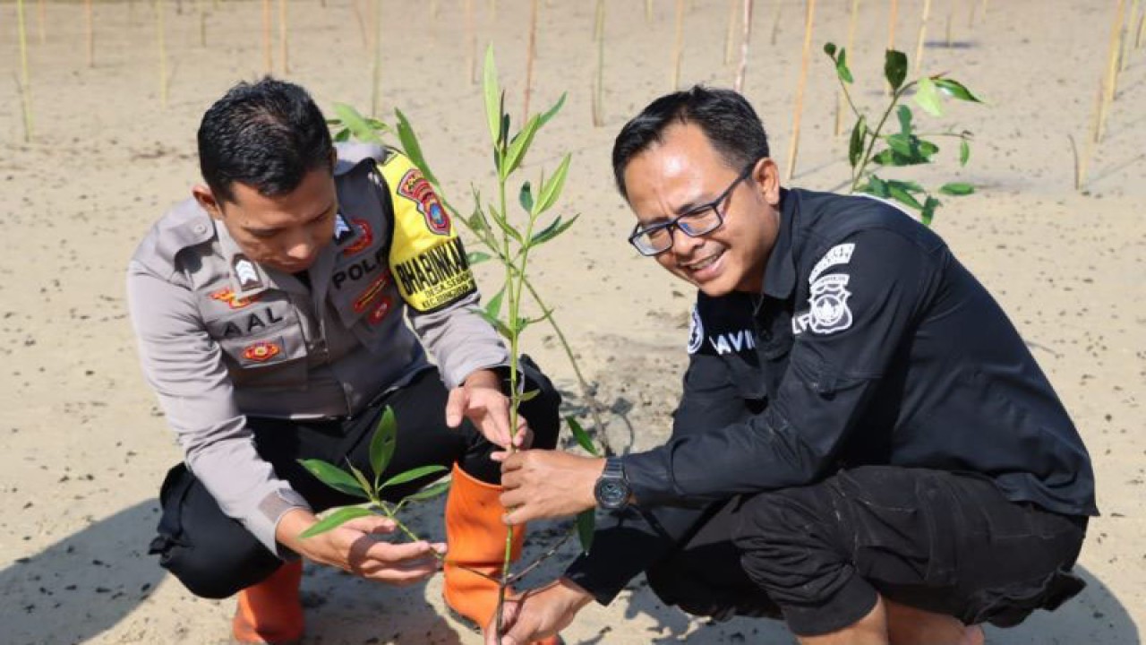 Kasubsipenmas Sihumas Polres NatunaAjun Inspektur Polisi Dua David Arviad saat melakukan penanaman. (ANTARA/Muhamad Nurman)