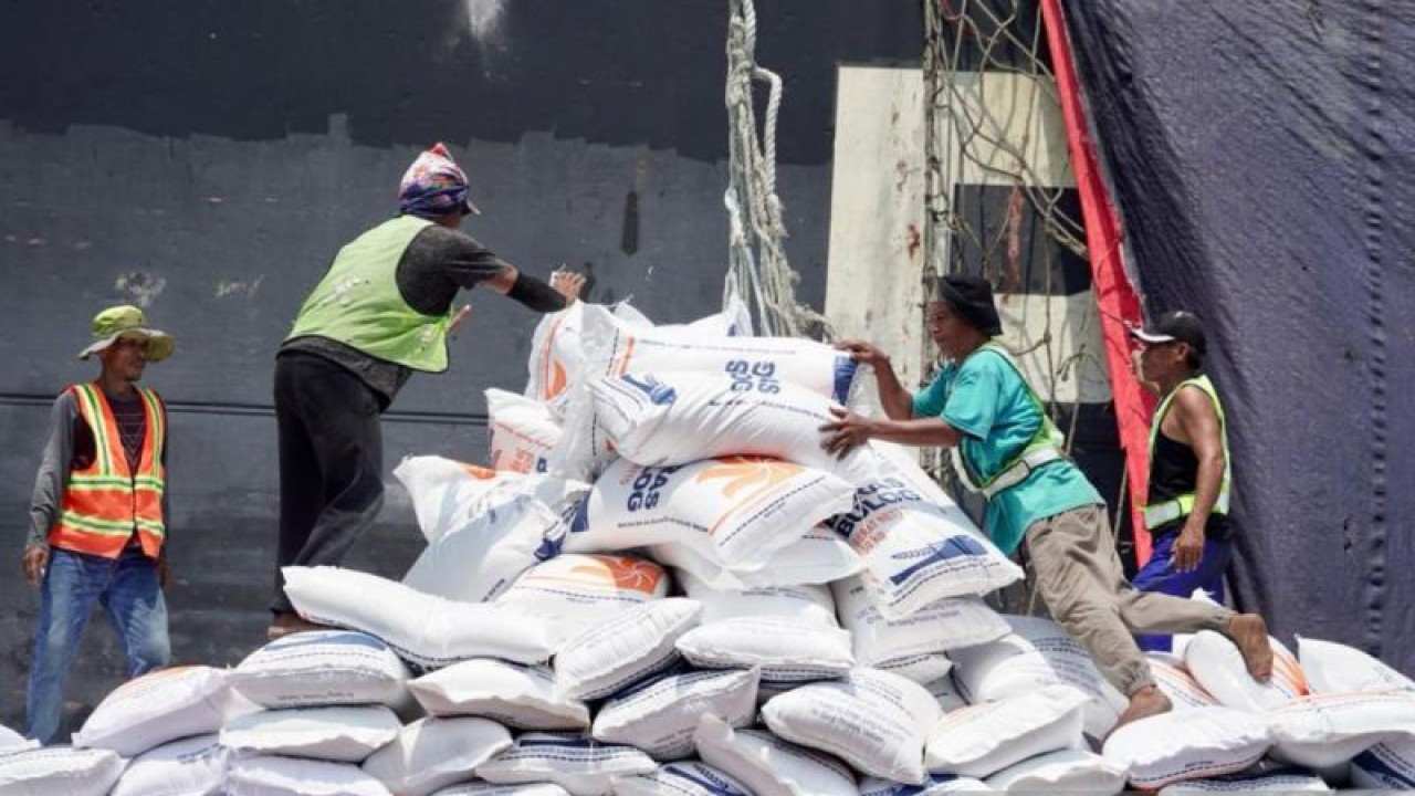 Proses bongkar muat beras asal Vietnam di Pelabuhan Tanjung Priok, Jakarta, Rabu (4/10/2023). ANTARA/HO-Bapanas.