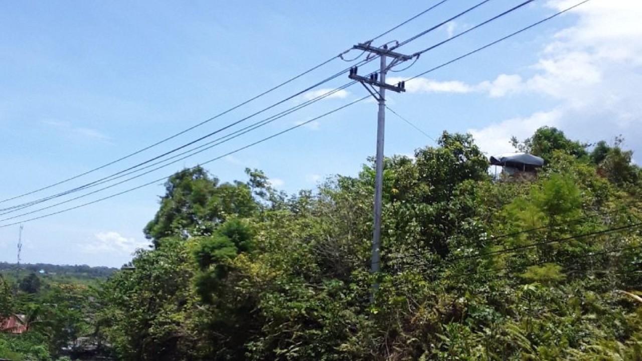 Salah satu ruang terbuka hijau di Biak. (ANTARA/Muhsidin)