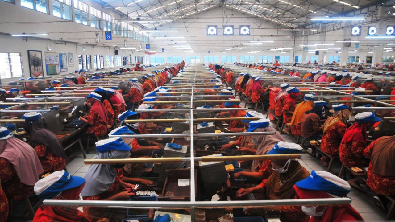 Ratusan buruh rokok memproduksi sigaret kretek tangan (SKT) di salah satu pabrik rokok di Kudus, Jawa Tengah, Selasa (20/6/2023). ANTARA FOTO/Yusuf Nugroho/foc.