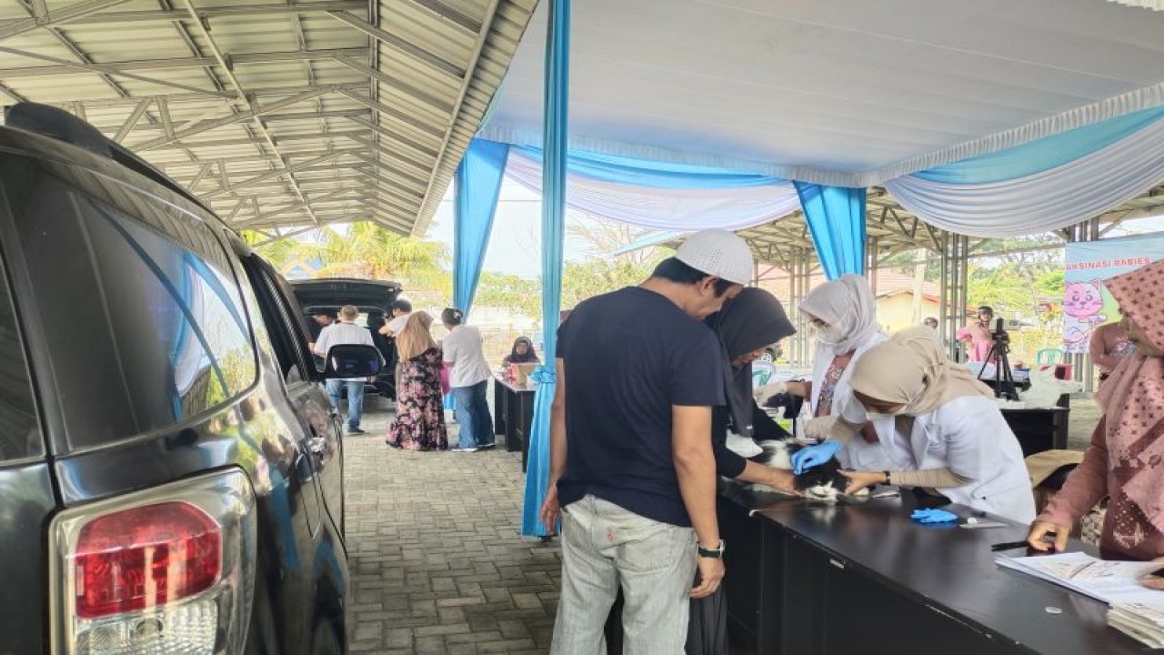 Vaksinasi rabies drive thru yang dilaksanakan di Balai Veteriner Lampung dalam rangka memperingati hari rabies sedunia. Bandarlampung, Sabtu (7/10/2023). ANTARA/Ruth Intan Sozometa Kanafi.