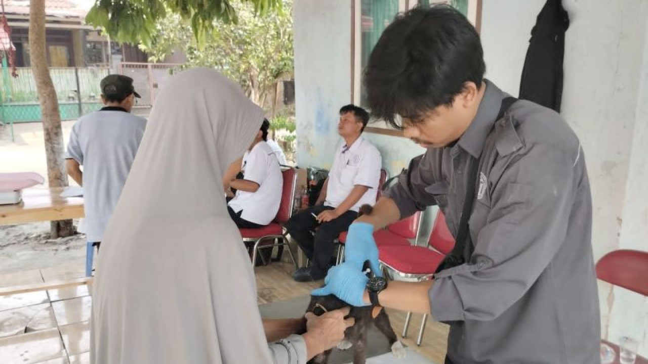 Vaksinasi rabies massal secara gratis di Kabupaten Bogor, Jawa Barat. (ANTARA/HO-Humas Pemkab Bogor)