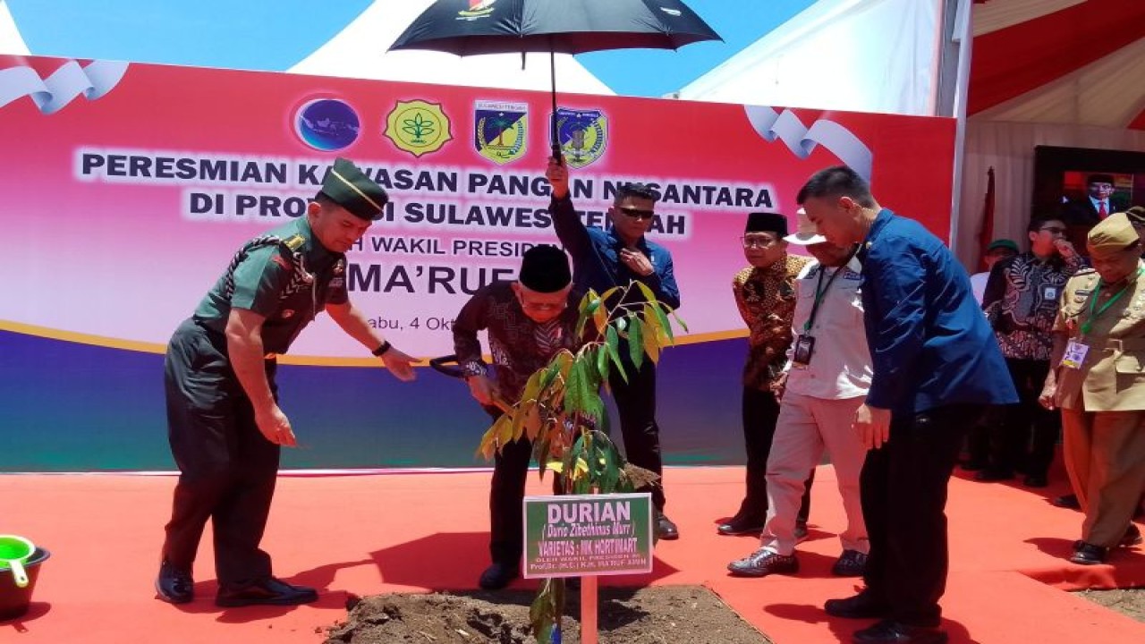 Wapres Ma'ruf Amin melakukan penanaman perdana tanaman durian varietas MK Hortimart di Kawasan Pangan Nusantara, Kabupaten Donggala, Sulteng, Rabu (4/10/2023). (ANTARA/Nur Amalia Amir)