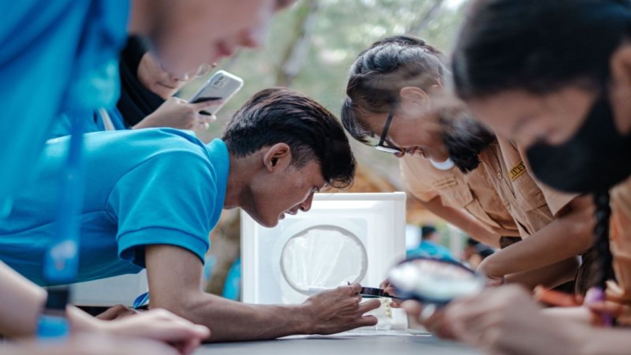 Penerapan metode Wolbachia di Provinsi Bali untuk menekan kasus demam berdarah dengue (DBD). (ANTARA/HO-Save The Children)