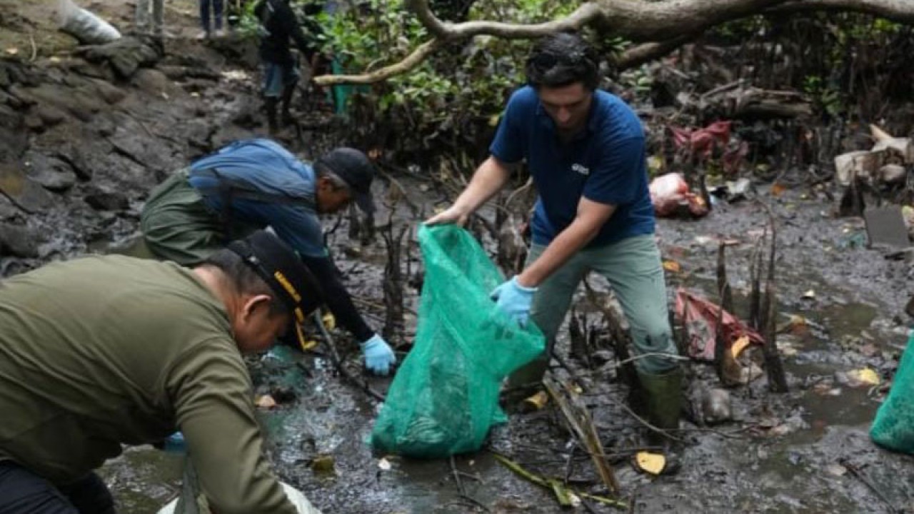 Pj Gubernur Bali Sang Made Mahendra Jaya saat membersihkan sampah di Sungai Kawasan Mangrove Tahura Ngurah Rai bersama Sungai Watch, Denpasar, Senin (27/11/2023). ANTARA/Ho-Pemprov Bali