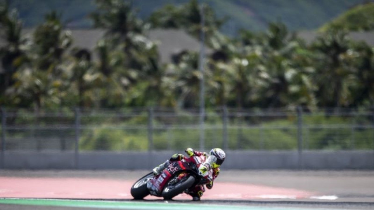 Arsip foto - Pebalap Aruba.it Racing-Ducati Alvaro Bautista memacu kecepatan saat Race 2 WSBK 2023 di Pertamina Mandalika International Street Circuit di KEK Mandalika, Praya, Lombok Tengah, NTB, Minggu (5/3/2023). (ANTARA FOTO/M Agung Rajasa/nym.)