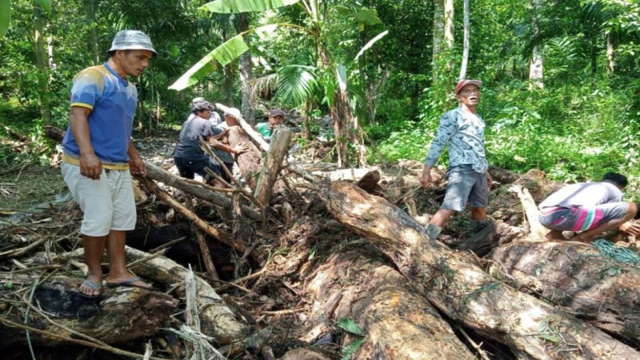Sejumlah personel Satgas BPBD Agam menangani material longsor disertai pohon tumbang di Jorong Mudiak, Nagari Duo Koto, Kecamatan Tanjung Raya, Kamis (9/11/2023). ANTARA/HO- BPBD Agam.