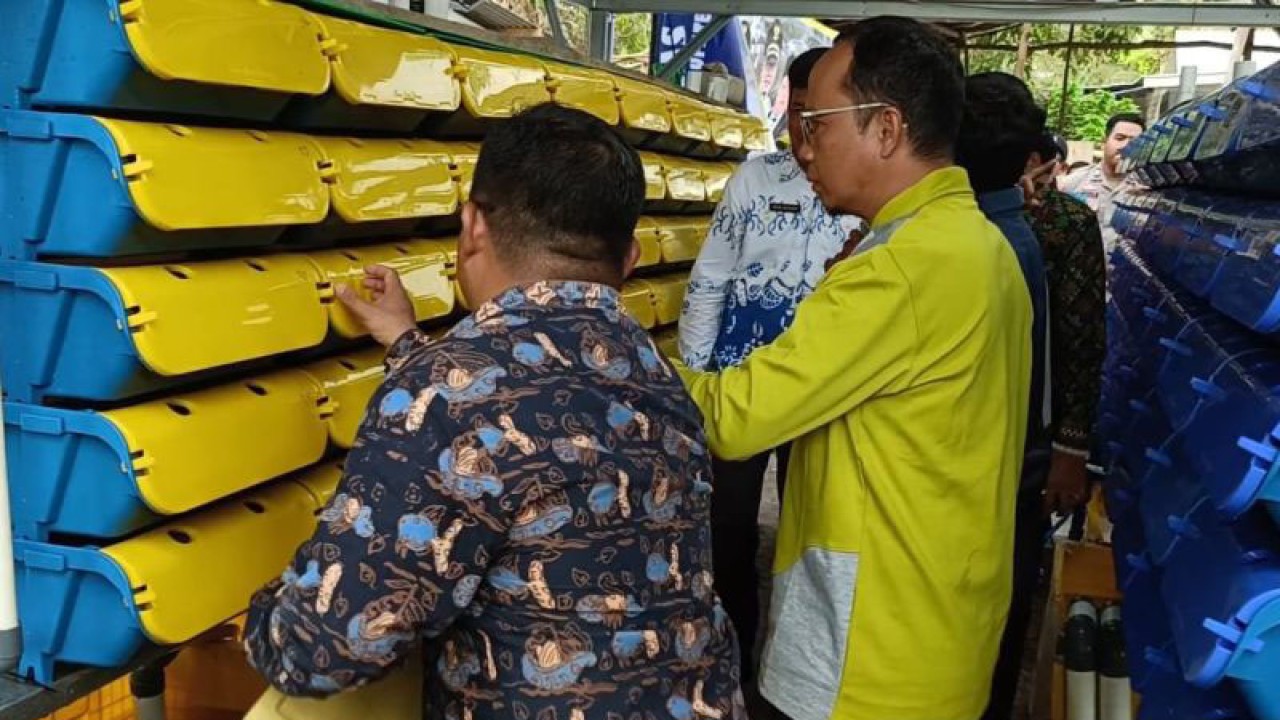 Bupati Bangka Tengah saat meninjau budi daya kepiting bakau sistem crab box apartemen di Lubuk Besar, Jumat (10/11) (ANTARA/Ahmadi)