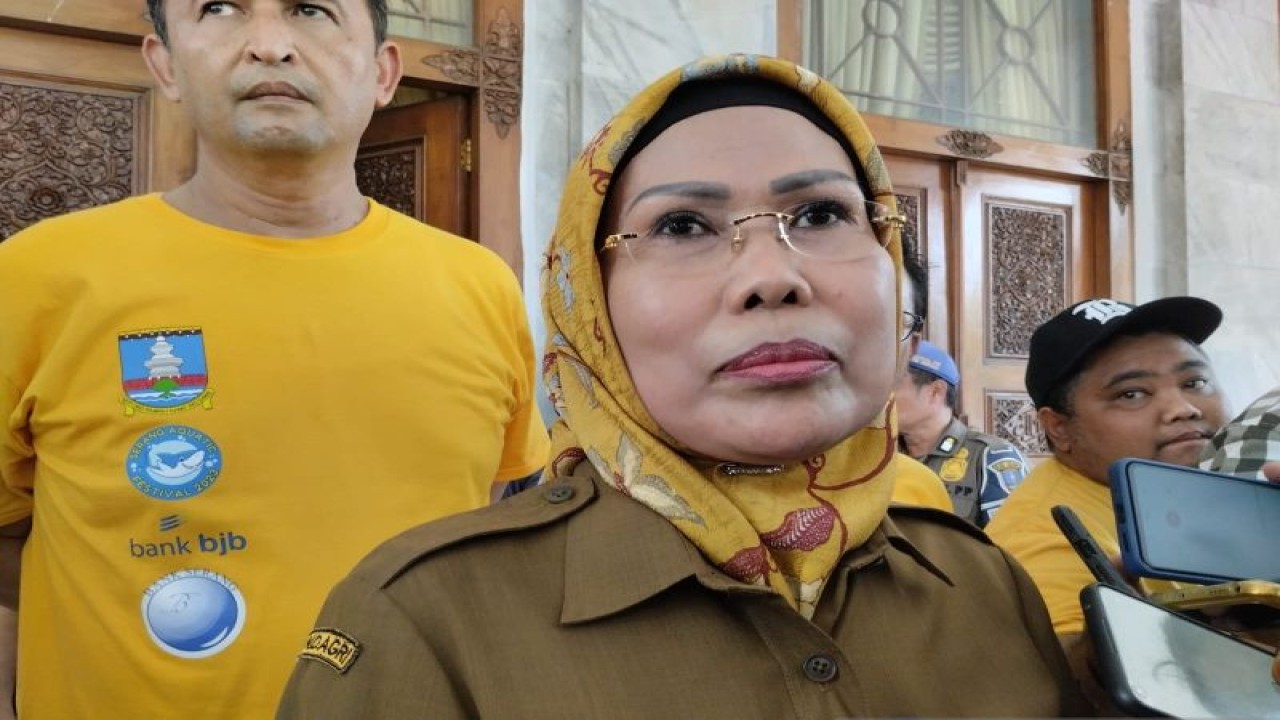 Bupati Serang Ratu Tatu Chasanah. (ANTARA/Desi Purnama Sari)