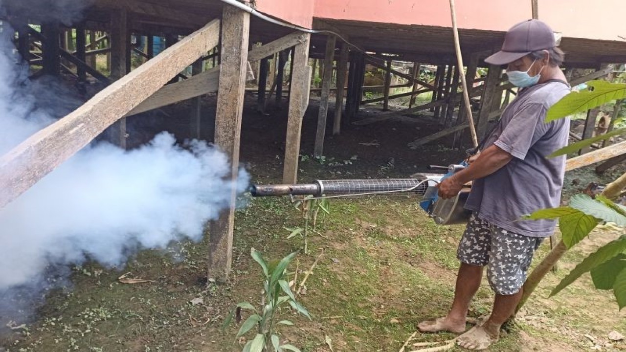 Seorang warga di Kecamatan Putussibau Selatan, wilayah Kapuas Hulu, Kalimantan Barat melakukan pengasapan atau fogging untuk mencegah sebaran DBD daerah tersebut. ANTARA (Teofilusianto Timotius)