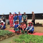 Desa Energi Pertamina atasi kendala irigasi petani Kalijaran Cilacap-1698911058