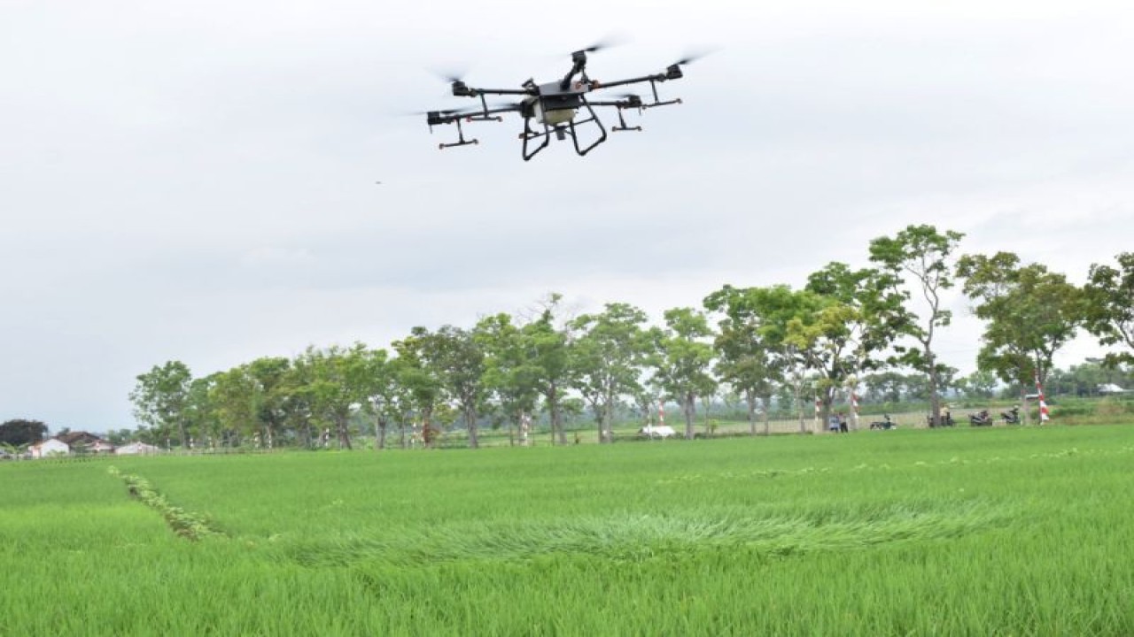 Drone pertanian digunakan untuk mengaplikasikan pestisida hayati dalam Gerakan Pencegahan Serangan Organisme Pengganggu Tanaman di Desa Karangsari, Kecamatan Kalimanah, Kabupaten Purbalingga, Kamis (23/11/2023). ANTARA/HO-Dinkominfo Purbalingga