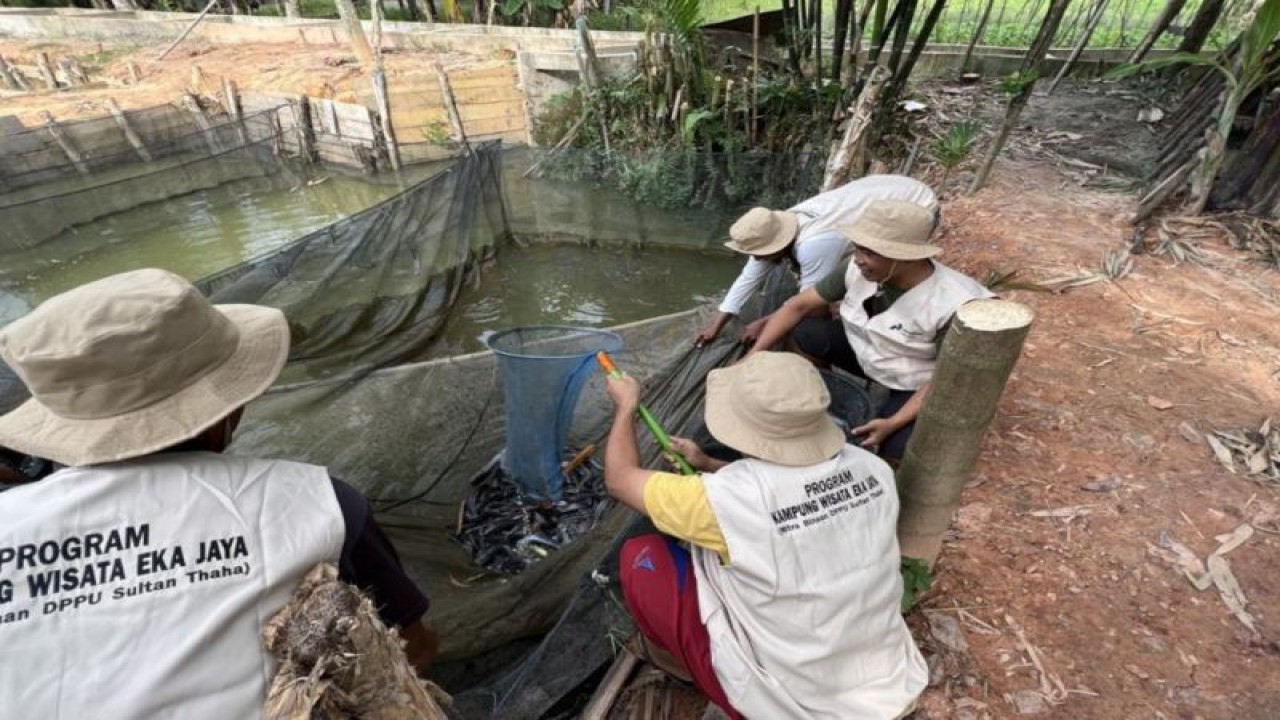 Pertamina bersama Kelompok Kampung Wisata Eka Jaya, Kota Jambi mengelola sampah organik menjadi pakan ternak, Selasa (28/11/2023). ANTARA/HO-Pertamina Patra Niaga Sumbagsel