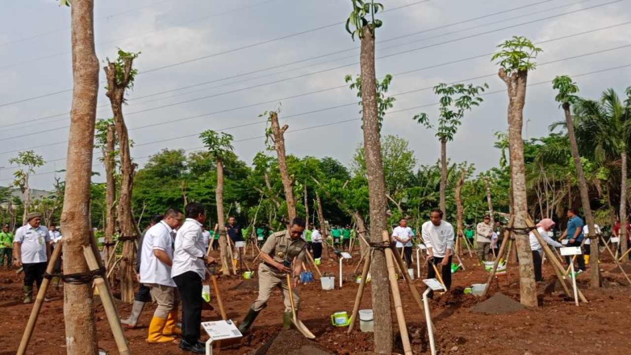 Penjabat (Pj) Gubernur DKI Jakarta Heru Budi Hartono menemani Presiden RI Joko Widodo (Jokowi) menanam pohon di Hutan Kota Kawasan Industri Pulogadung, Jakarta Timur, Rabu (29/11/2023). ANTARA/Siti Nurhaliza
