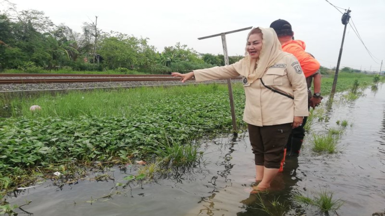 Wali Kota Semarang Hevearita Gunaryanti Rahayu meninjau banjir di Semarang, Selasa (28/11/2023). (ANTARA/Zuhdiar Laeis)