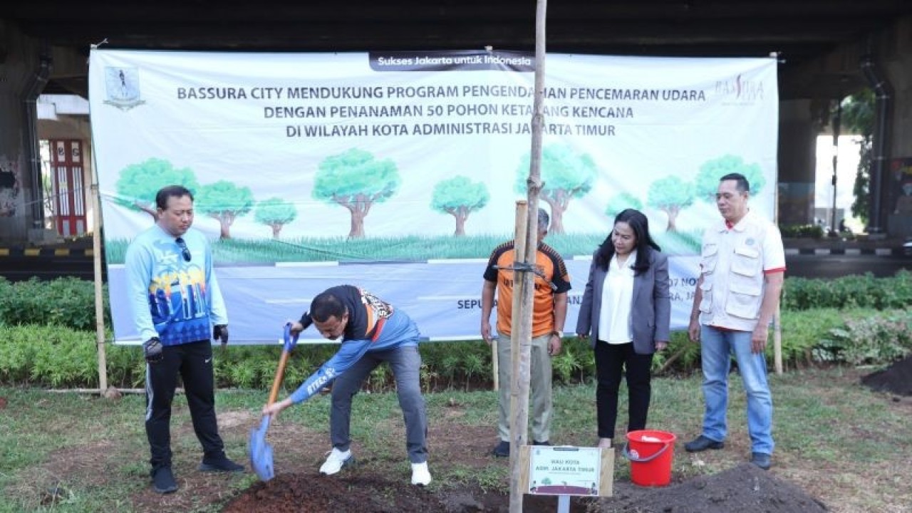 Wali Kota Administrasi Jakarta Timur Muhammad Anwar saat menanam pohon di kolong jembatan Tol Bekasi-Cawang-Kampung Melayu (Becakayu) Jalan DI Panjaitan, Kecamatan Jatinegara, Jakarta Timur, Selasa (7/11/2023). Penanaman sebanyak 50 pohon ketapang kencana dalam rangka mengurangi polusi udara di Jakarta. ANTARA/HO-Kominfotik Jakarta Timur