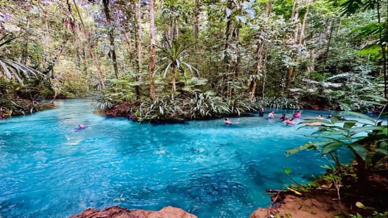 Pesona Sungai Kali Biru di pedalaman Raja Ampat, tepatnya di Kampung Warsambin, Distrik Teluk Mayalibit, Raja Ampat, Papua. (ANTARA/Sella Panduarsa Gareta)